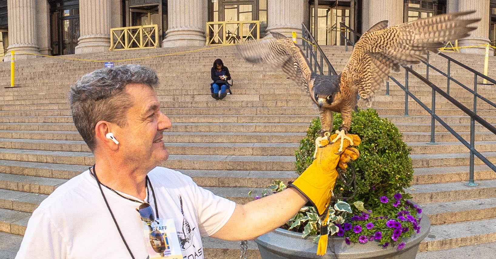 A man wearing a glove holding a falcon in his hand..